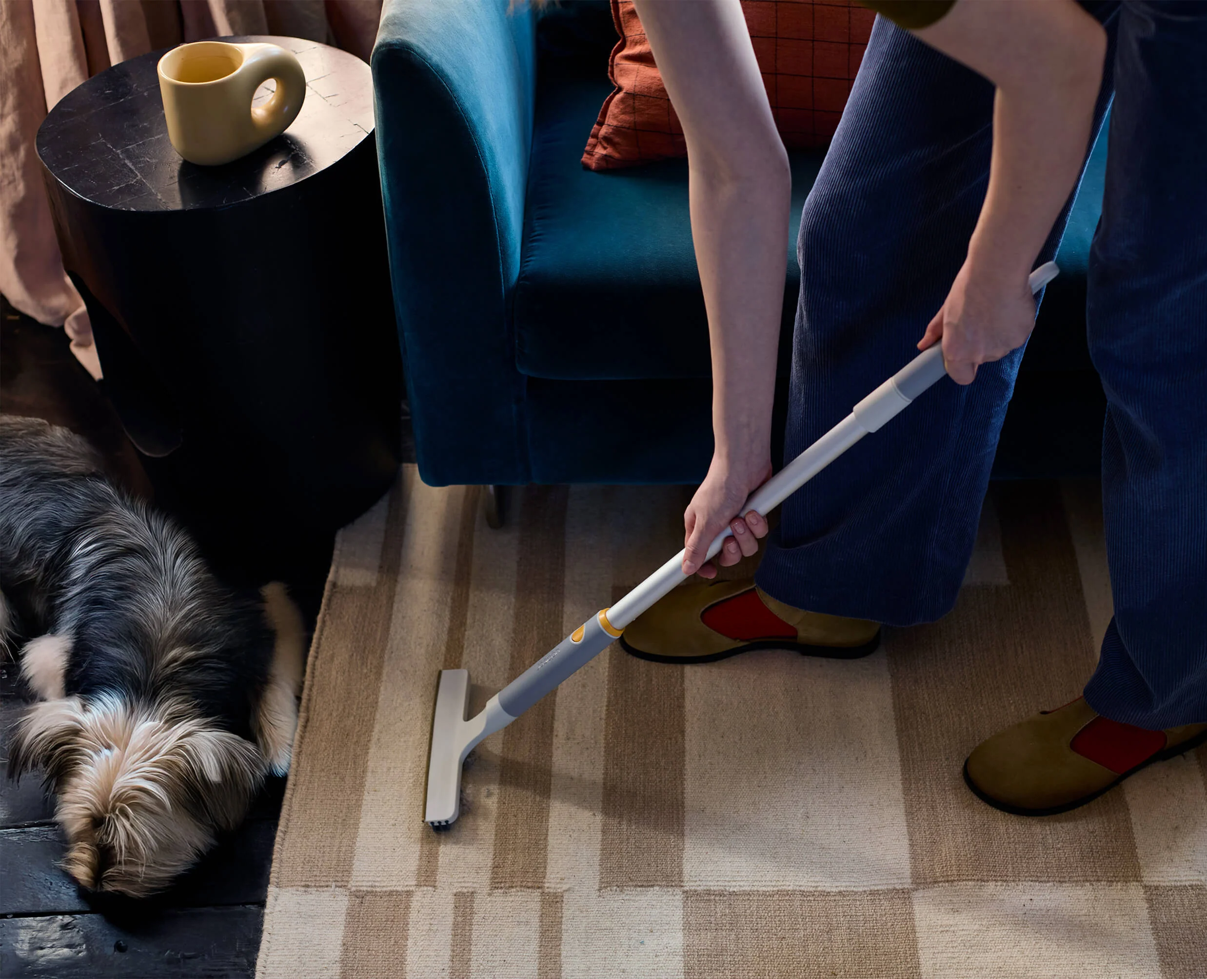 CleanTech™ Pet Hair & Carpet Cleaning Set - Image 4
